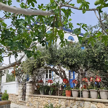 Apartamento Petroula *